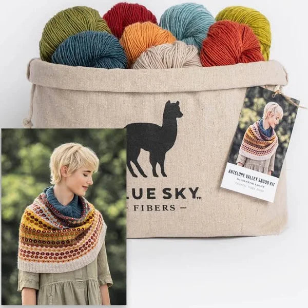 Blue Sky Fibers ANTELOPE VALLEY SNOOD KIT