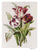 Pattern REDOUTE'S TULIPS by Trish Burr for Inspiration Studios, i100 Print, Threadpainting