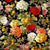 Quilting Fabric Renaissance DCX8544-BLAC-D from Michael Miller, Renaissance Collection