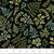 Fabric SMALL FERNS BLACK DP27513-99 from WILD HARVEST Collection by Deborah Edwards for Northcott Fabrics