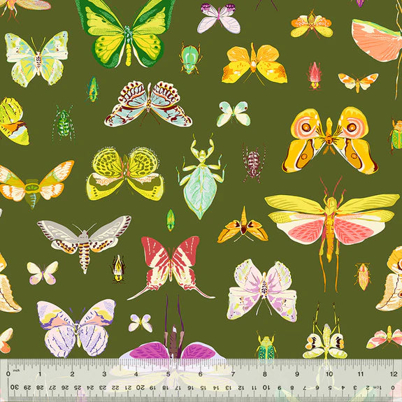 Cotton Fabric ON DISPLAY 54652-3 Olive, Insectarium Collection by Tamara Kate for Windham