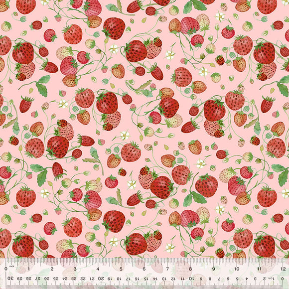 Cotton Fabric Strawberries 54772D-6 Pink, FOREST FRUITS Collection from Betsy Olmsted for Windham