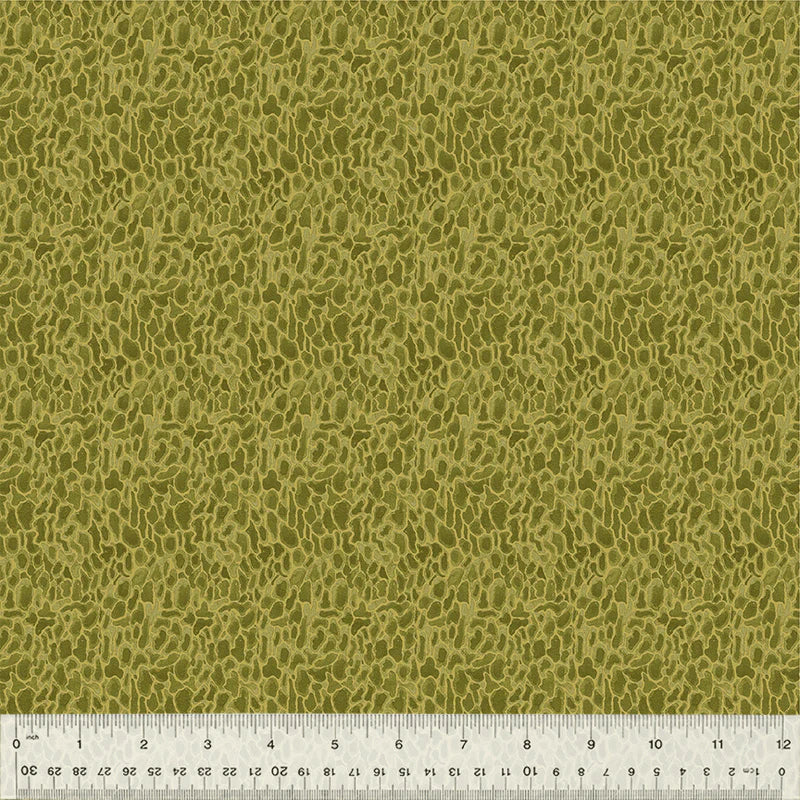Cotton Fabric Morel 54776D-11 Moss, FOREST FRUITS Collection from Betsy Olmsted for Windham