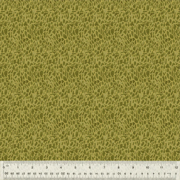 Cotton Fabric Morel 54776D-11 Moss, FOREST FRUITS Collection from Betsy Olmsted for Windham