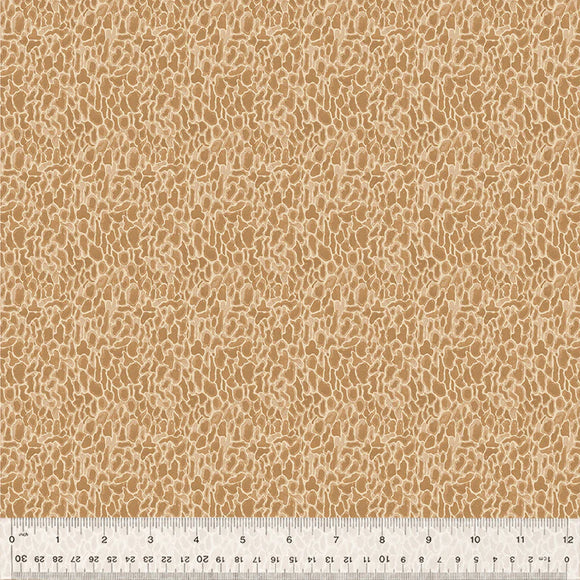 Cotton Fabric Morel 54776D-12 Tan, FOREST FRUITS Collection from Betsy Olmsted for Windham