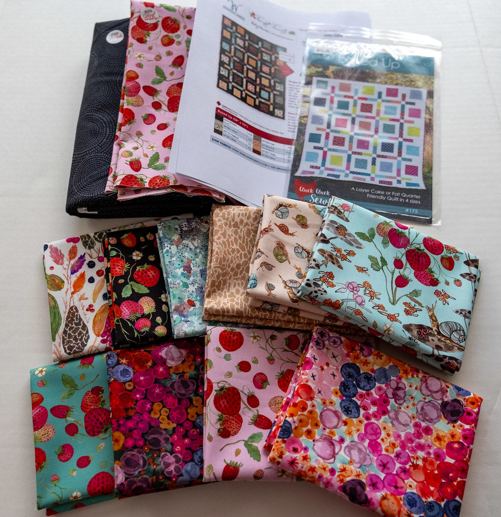 Quilt Kit BOXED UP, Featuring FOREST FRUIT Fabrics by Betsy Olmsted for Windham Fabrics