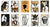 Quilt Pattern CABIN CHILLS by Janet Wecker-Frisch by Joy Studio, # P149-CABINCHILLS