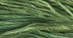 The Gentle Art's Simply Shaker Threads Hand Dyed Embroidery Floss, 100% cotton, BABY SPINACH 7050,, 5 yds