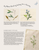 Book AMONG THE WILD FLOWERS by Tilly Rose, Search Press Publication