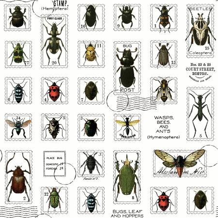Fabric BUGS POST MULTI by Janet Wecker-Frisch from the Art Journal Collection from Riley Blake Designs, CD13036 Multi