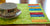 Table Mats Colors of the Rainforest, set of 4