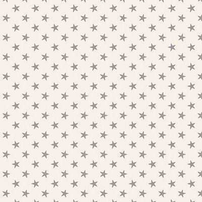 Fabric TIL130039-V11 Tilda- Basic Classics Tiny Star Grey